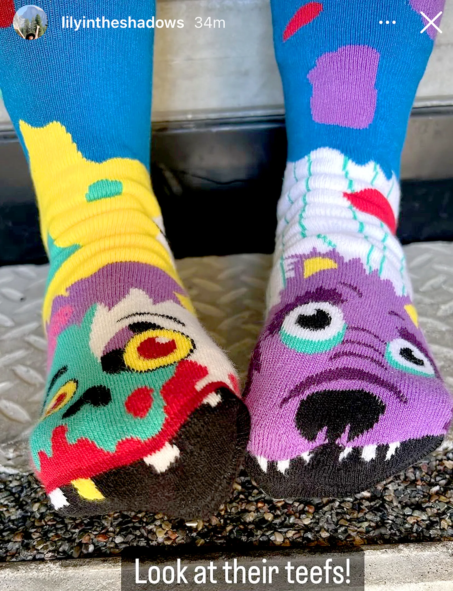 ADULT ZOMBIE & WEREWOLF SOCKS by Pals Socks