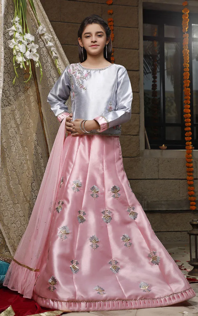 Handwork Embroidered Taffeta Lehenga Choli | WC1920 | L3008