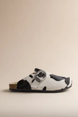 Women's Greg Shoe in Black Cow